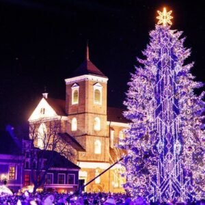 Šviesų festivalis ir Eglučių magija